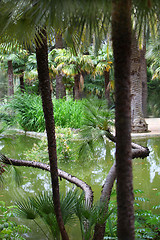 Image showing Quiet pool in a tropical garden