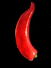 Image showing Pepper