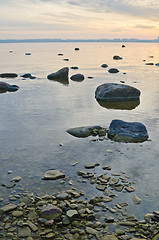 Image showing Stony coast of Baltic sea early in the morning