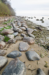 Image showing Stony coast of Baltic sea early in the morning