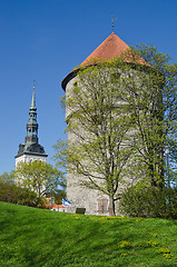 Image showing Spring in park of Tallinn