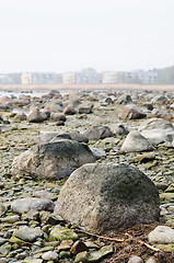 Image showing Stony coast of Baltic sea early in the morning