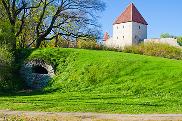 Image showing Spring in park of Tallinn