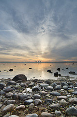 Image showing Stony coast of Baltic sea early in the morning