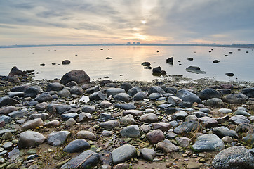 Image showing Stony coast of Baltic sea early in the morning