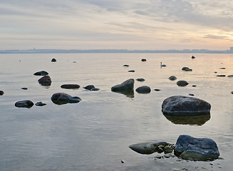 Image showing Stony coast of Baltic sea early in the morning