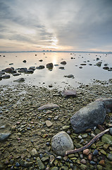 Image showing Stony coast of Baltic sea early in the morning