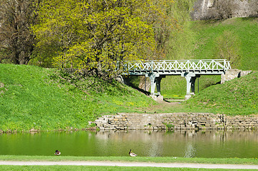 Image showing Ducks on the pond in spring Park  
