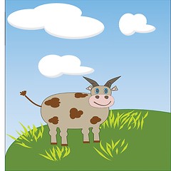 Image showing Little jersey cow with a cocked head and blue eyes