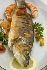 Image showing fish