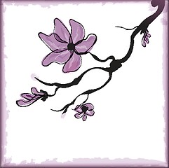 Image showing Cherry blossom ,sakura flower.