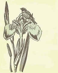 Image showing Vintage card with lily.