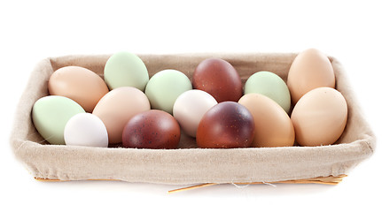 Image showing fresh eggs