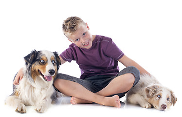 Image showing australian shepherds and boy