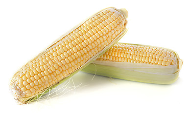 Image showing sweet corn