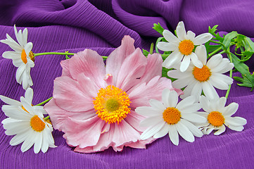 Image showing Japanese anemone and marguerites