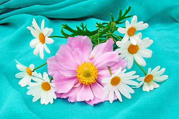 Image showing Japanese anemone and marguerites