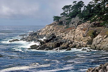 Image showing Point Lobos