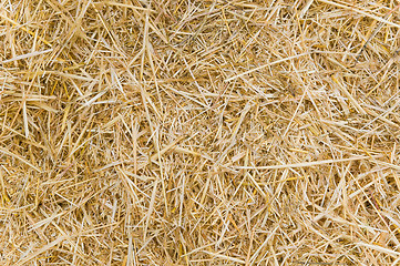 Image showing straw closeup as background