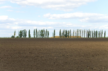 Image showing field in autumn