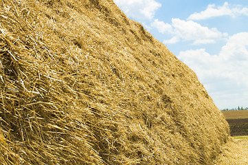 Image showing straw