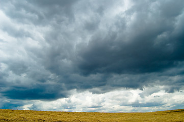 Image showing into the rain