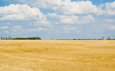 Image showing after harvesting