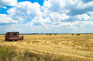 Image showing harvesting