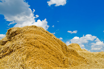 Image showing straw