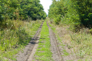 Image showing wood road