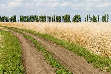 Image showing rural road