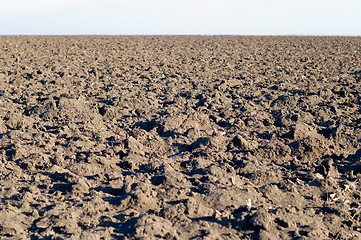 Image showing tillage