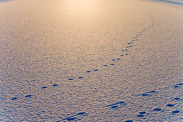 Image showing snow on evening