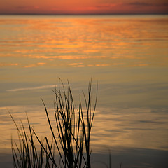 Image showing Water reflections