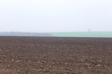 Image showing fild and fog