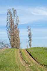 Image showing rural road