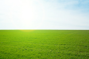 Image showing field and sun