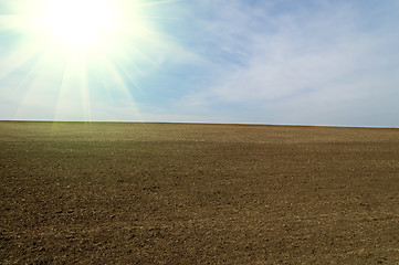 Image showing sunny black field