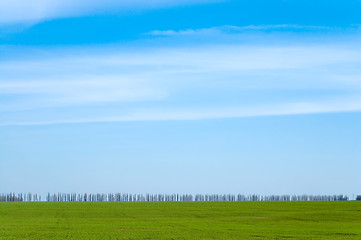 Image showing blue and green