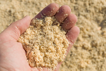 Image showing saw dust in hand