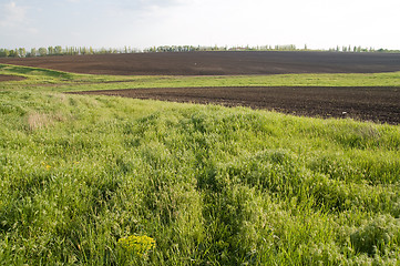 Image showing view to green field at spring