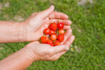 Image showing strawberry and cherry