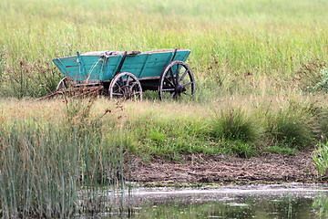 Image showing olr cart abandoned in the swamp