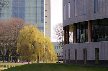 Image showing trees and architecture