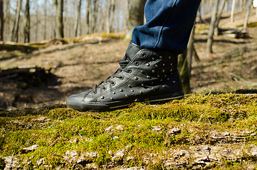 Image showing human leg stand walk mossy tree trunk forest park 