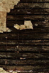 Image showing Wood texture closeup photo