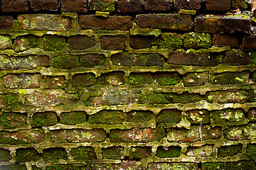 Image showing Brick wall with moss