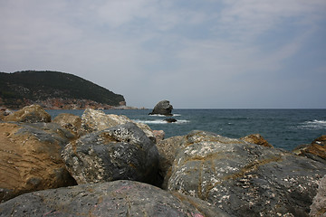 Image showing Coast