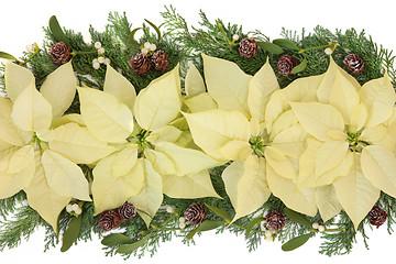 Image showing Poinsettia Decorative Display