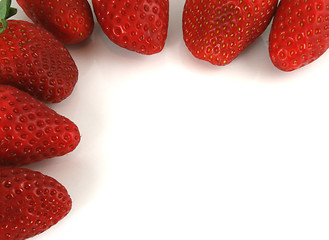 Image showing Border of Strawberries